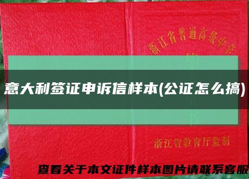 意大利簽證申訴信樣本(公證怎么搞)縮略圖