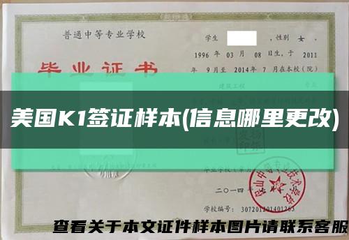 美國K1簽證樣本(信息哪里更改)縮略圖