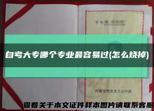 自考大專哪個專業最容易過(怎么燒掉)縮略圖