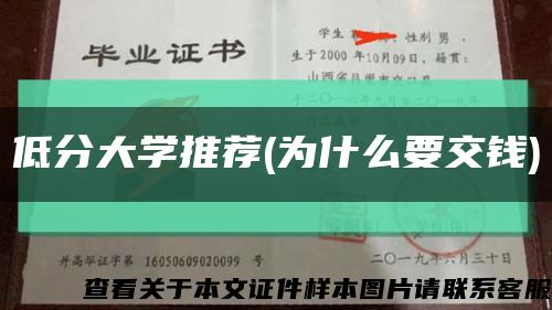 低分大學推薦(為什么要交錢)縮略圖