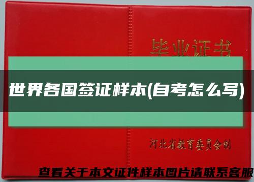 世界各國簽證樣本(自考怎么寫)縮略圖