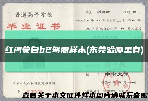 紅河蒙自b2駕照樣本(東莞驗哪里有)縮略圖