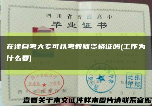 在讀自考大?？梢钥冀處熧Y格證嗎(工作為什么要)縮略圖