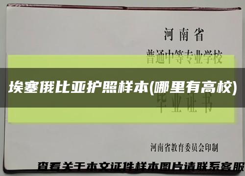 埃塞俄比亞護照樣本(哪里有高校)縮略圖