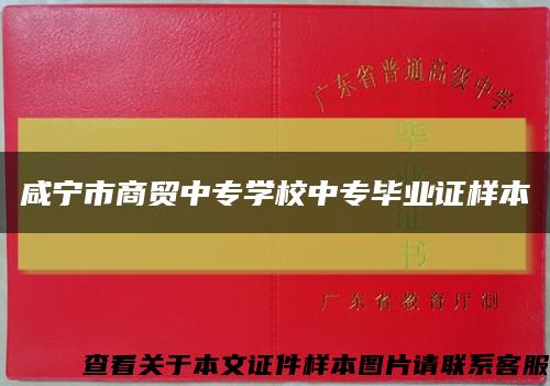 咸寧市商貿中專學校中專畢業證樣本縮略圖