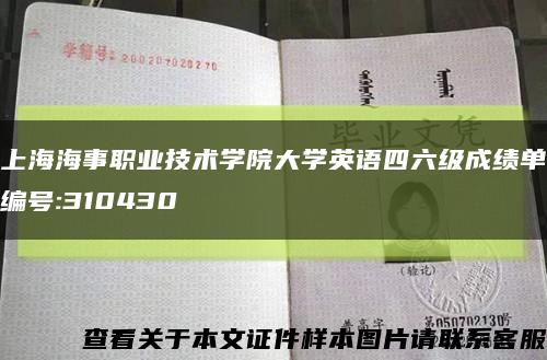 上海海事職業技術學院大學英語四六級成績單編號:310430縮略圖