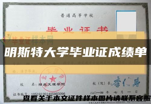 明斯特大學畢業證成績單縮略圖