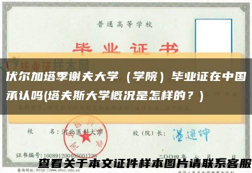 伏爾加塔季謝夫大學（學院）畢業證在中國承認嗎(塔夫斯大學概況是怎樣的？)縮略圖