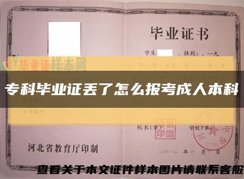 ?？飘厴I證丟了怎么報考成人本科縮略圖