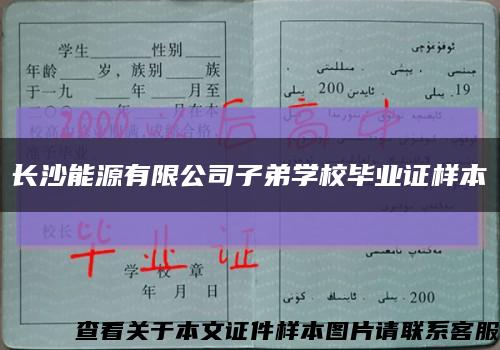 長沙能源有限公司子弟學校畢業證樣本縮略圖