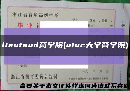 liautaud商學院(uiuc大學商學院)縮略圖