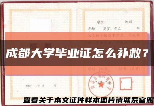成都大學畢業證怎么補救？縮略圖
