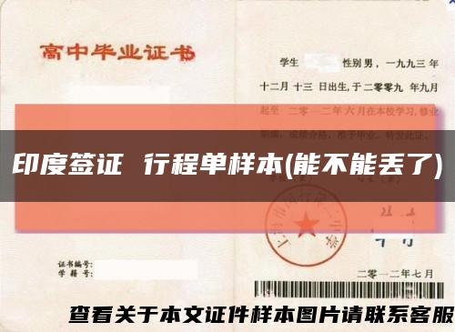印度簽證 行程單樣本(能不能丟了)縮略圖
