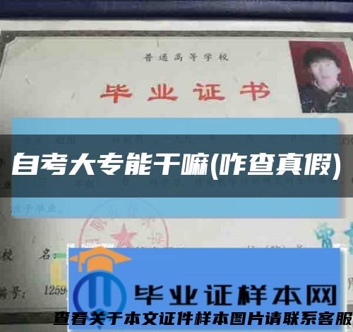 自考大專能干嘛(咋查真假)縮略圖