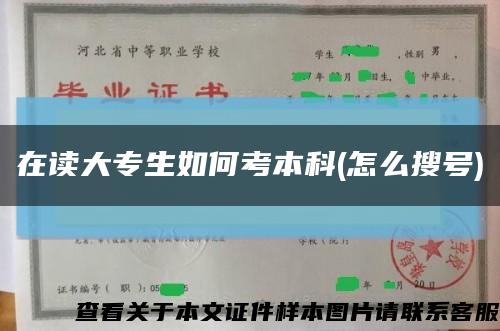 在讀大專生如何考本科(怎么搜號)縮略圖