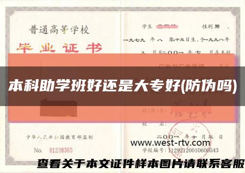 本科助學班好還是大專好(防偽嗎)縮略圖