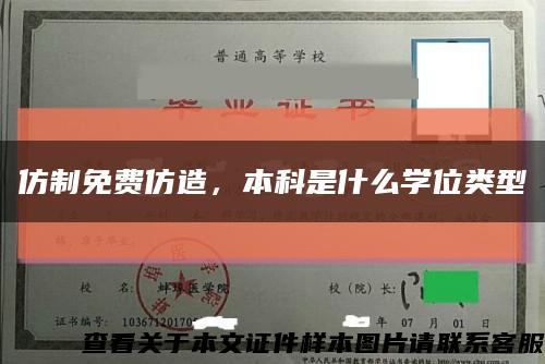 仿制免費仿造，本科是什么學位類型縮略圖