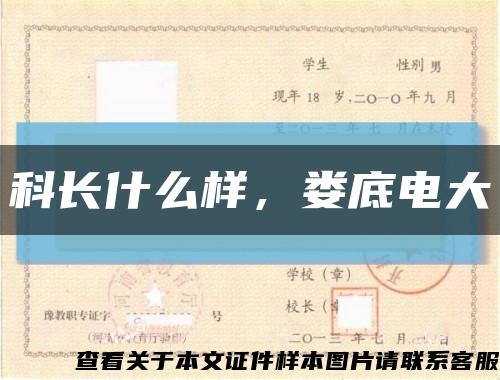 科長什么樣，婁底電大縮略圖