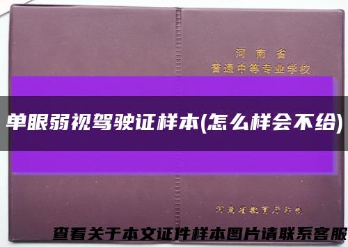 單眼弱視駕駛證樣本(怎么樣會不給)縮略圖