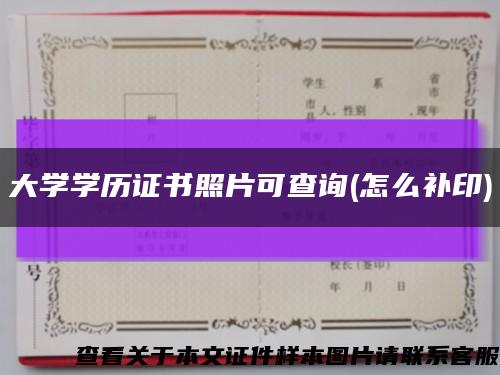 大學學歷證書照片可查詢(怎么補印)縮略圖