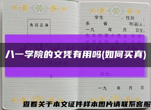 八一學院的文憑有用嗎(如何買真)縮略圖