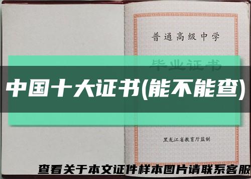 中國十大證書(能不能查)縮略圖