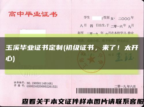 玉溪畢業證書定制(初級證書，來了！太開心)縮略圖