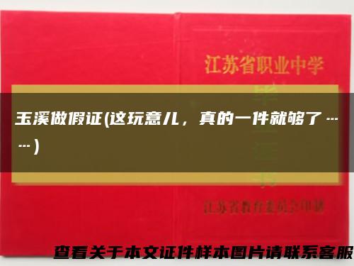 玉溪做假證(這玩意兒，真的一件就夠了……)縮略圖