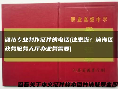濰坊專業制作證件的電話(注意啦！濱海區政務服務大廳辦業務需要)縮略圖