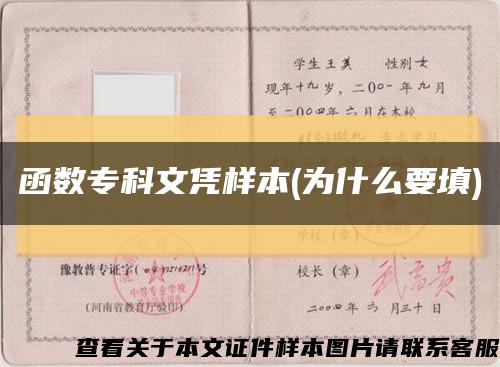 函數?？莆膽{樣本(為什么要填)縮略圖
