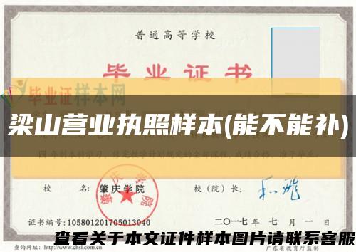 梁山營業執照樣本(能不能補)縮略圖