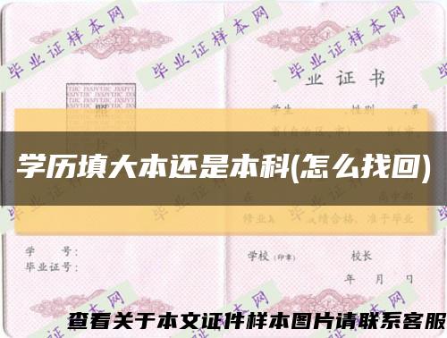 學歷填大本還是本科(怎么找回)縮略圖