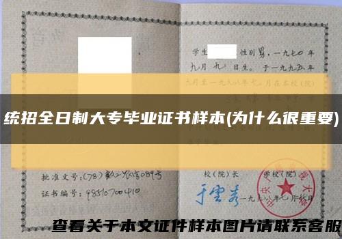 統招全日制大專畢業證書樣本(為什么很重要)縮略圖