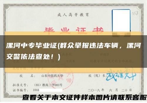 漯河中專畢業證(群眾舉報違法車輛，漯河交警依法查處！)縮略圖