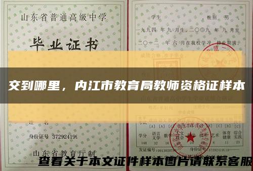 交到哪里，內江市教育局教師資格證樣本縮略圖