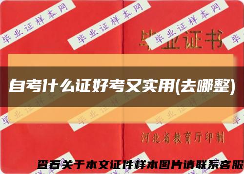 自考什么證好考又實用(去哪整)縮略圖