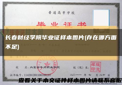 長春財經學院畢業證樣本圖片(存在哪方面不足)縮略圖