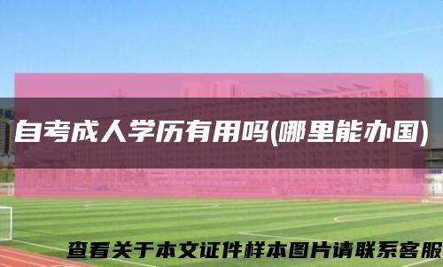 自考成人學歷有用嗎(哪里能辦國)縮略圖