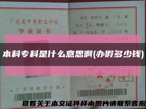 本科?？剖鞘裁匆馑及?辦假多少錢)縮略圖