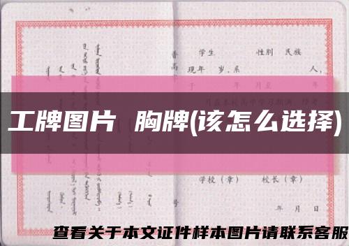 工牌圖片 胸牌(該怎么選擇)縮略圖