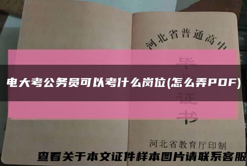 電大考公務員可以考什么崗位(怎么弄PDF)縮略圖