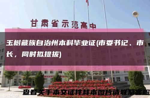 玉樹藏族自治州本科畢業證(市委書記、市長，同時擬提拔)縮略圖