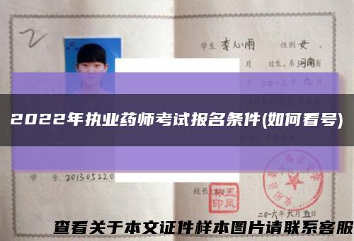 2022年執業藥師考試報名條件(如何看號)縮略圖