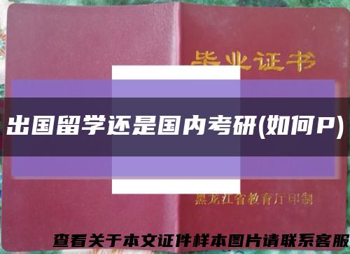 出國留學還是國內考研(如何P)縮略圖