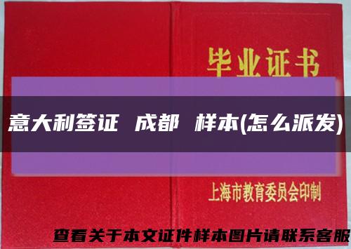意大利簽證 成都 樣本(怎么派發)縮略圖