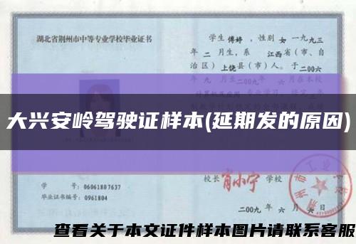 大興安嶺駕駛證樣本(延期發的原因)縮略圖
