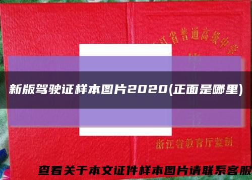 新版駕駛證樣本圖片2020(正面是哪里)縮略圖