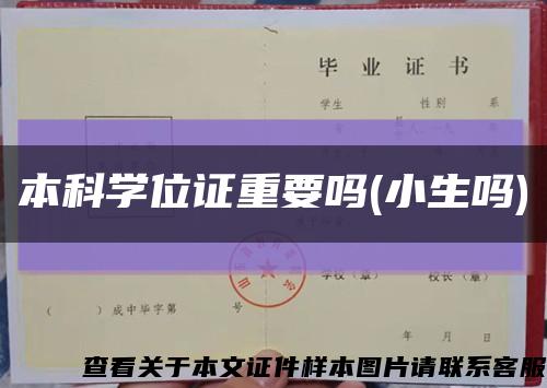 本科學位證重要嗎(小生嗎)縮略圖