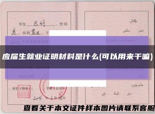 應屆生就業證明材料是什么(可以用來干嘛)縮略圖