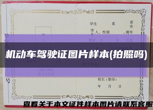 機動車駕駛證圖片樣本(拍照嗎)縮略圖